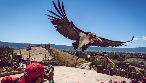 Entrée Terra Natura Murcia - Photo 4